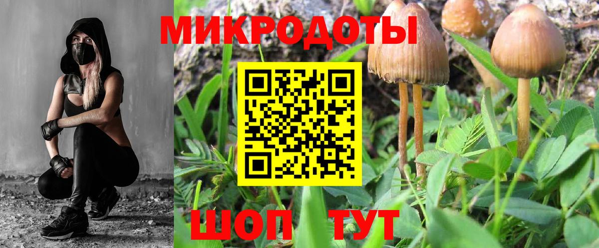 Боровичи  Галлюциногенные грибы Psilocybe  где продают   Вход с VPN 